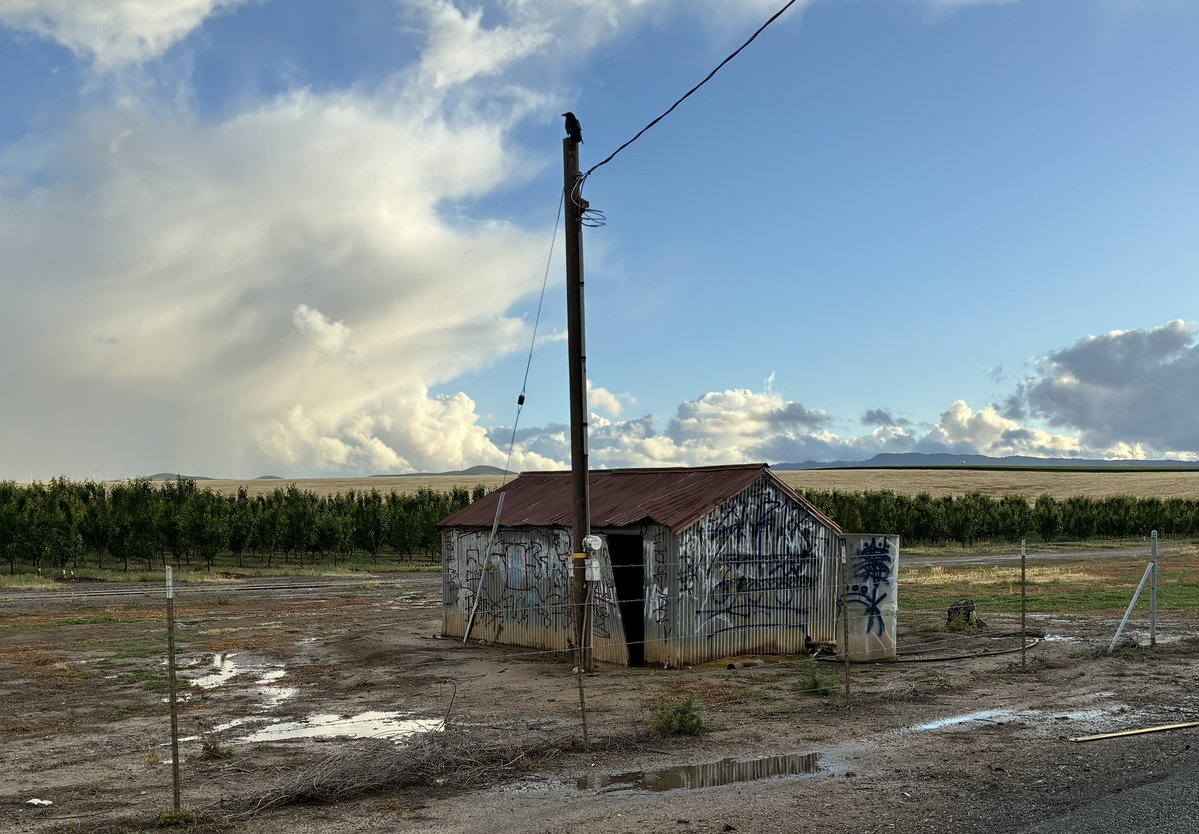 Mr. Marcus tweet media