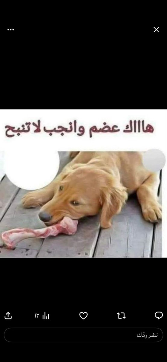 So🩶👁️‍🗨️ tweet media