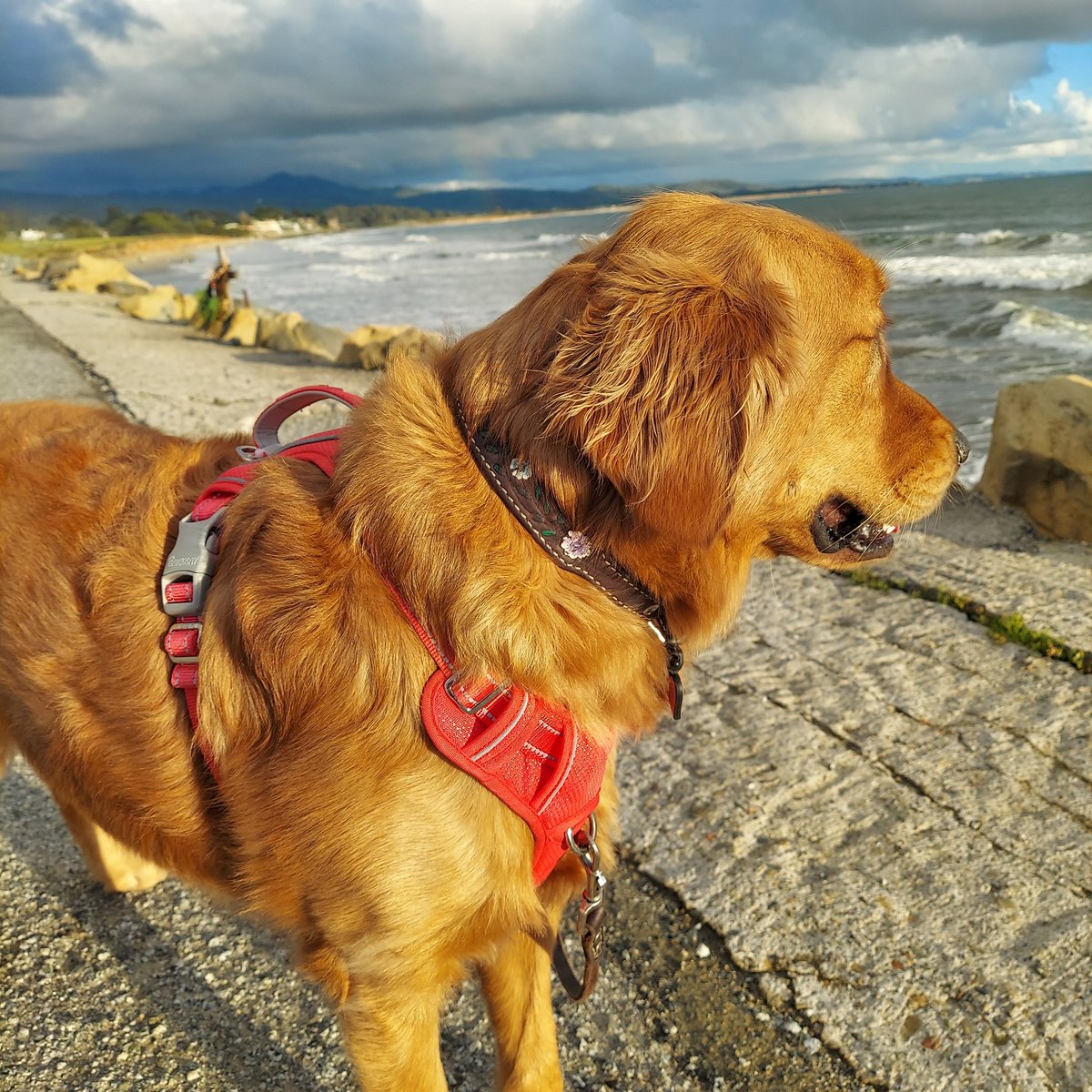 TrinityTotalNutrition.com tweet media