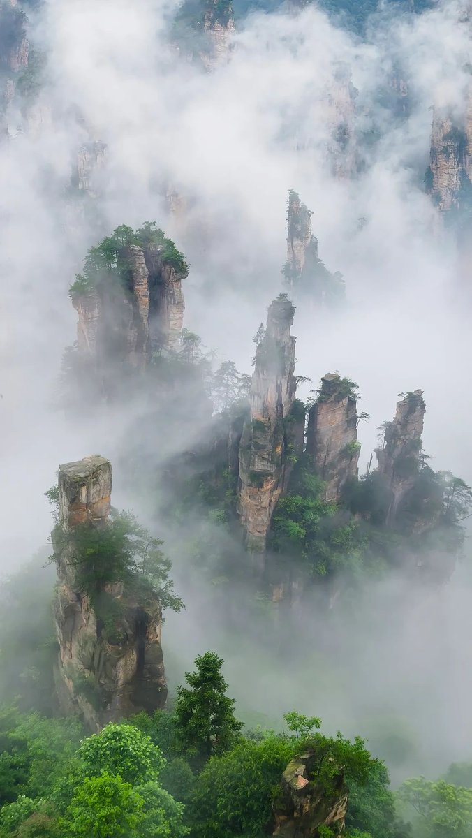 Monkey King（follow back） tweet media