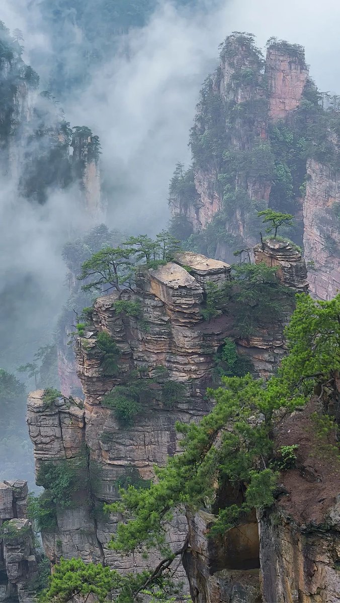 Monkey King（follow back） tweet media