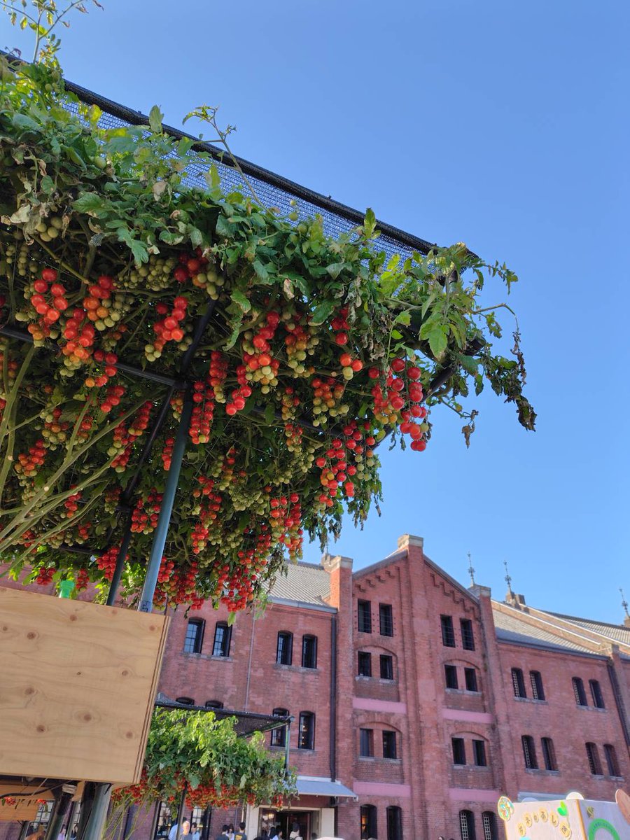 安西リカ tweet media