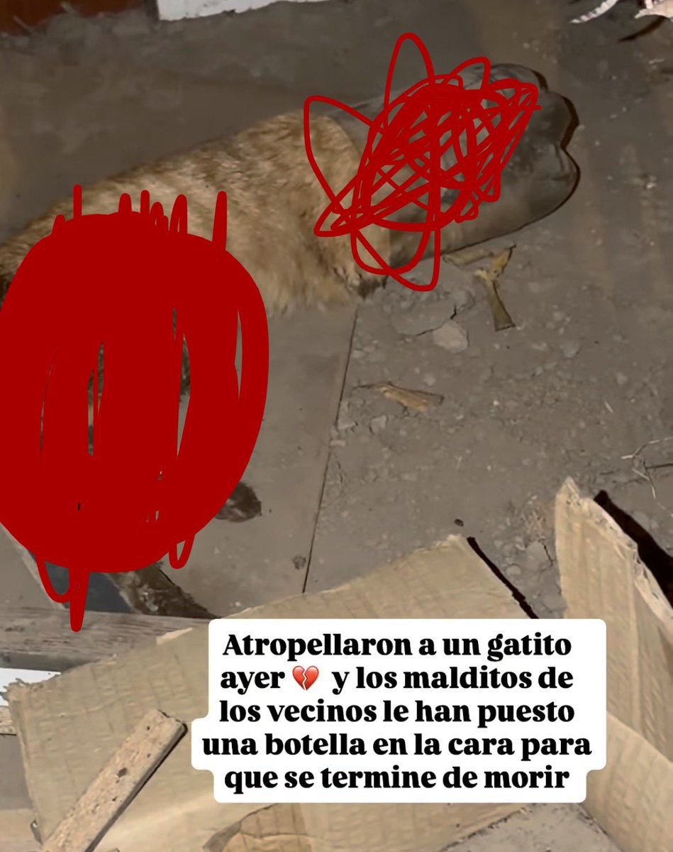 𝐌𑁤 tweet media