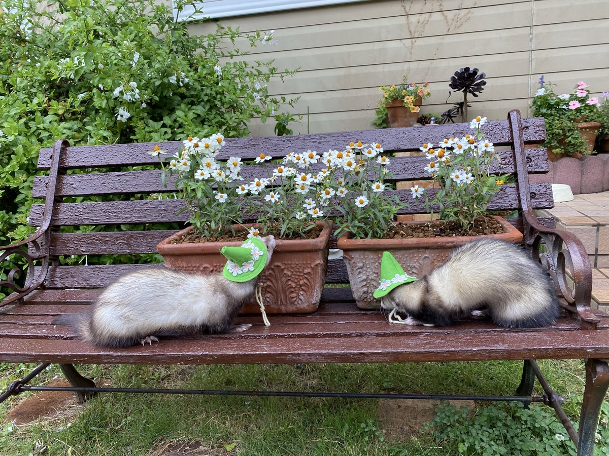 圧【あつ】 tweet media