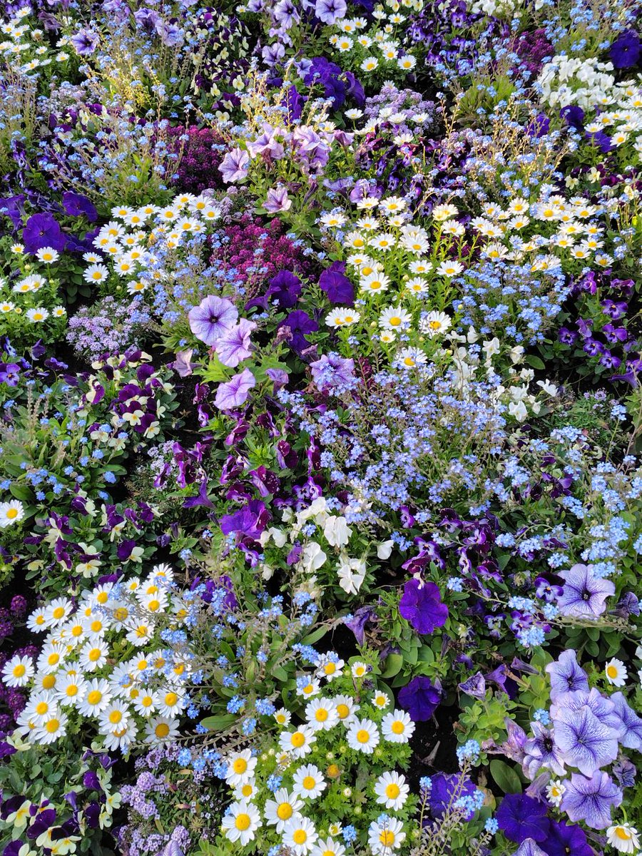 安西リカ tweet media