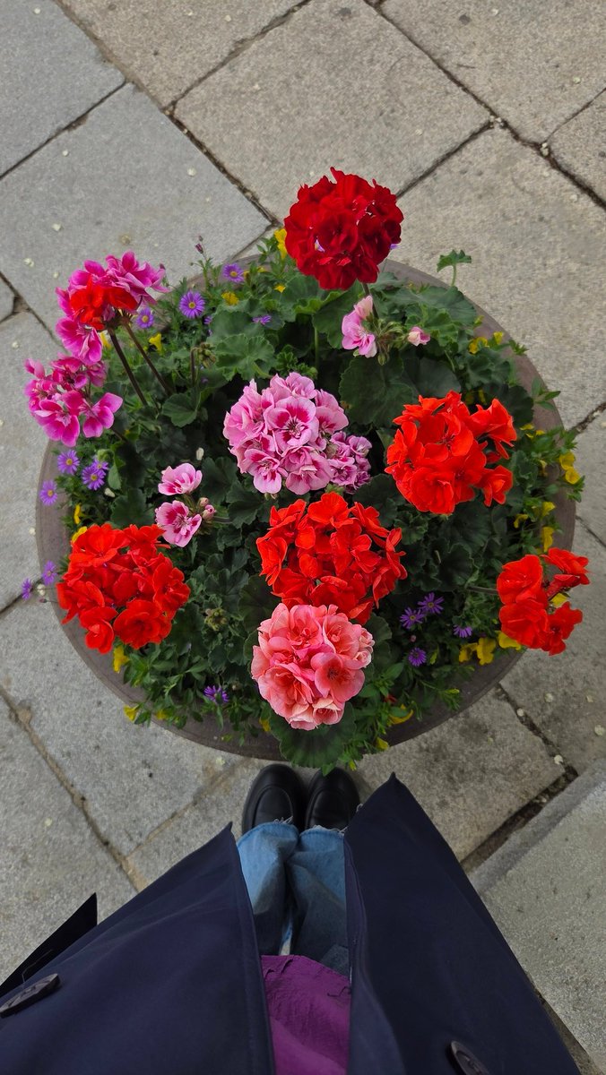 Anna___Freud's tweet photo. В Корее классно. По ощущениям все цвета в настройках  выкручены  на максимум🇰🇷 https://t.co/gO0MgI36Ga