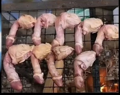 emile_bca's tweet photo. @MiltonFriedom5 Mean while asado pobrentino: https://t.co/IfsKSXaCoU