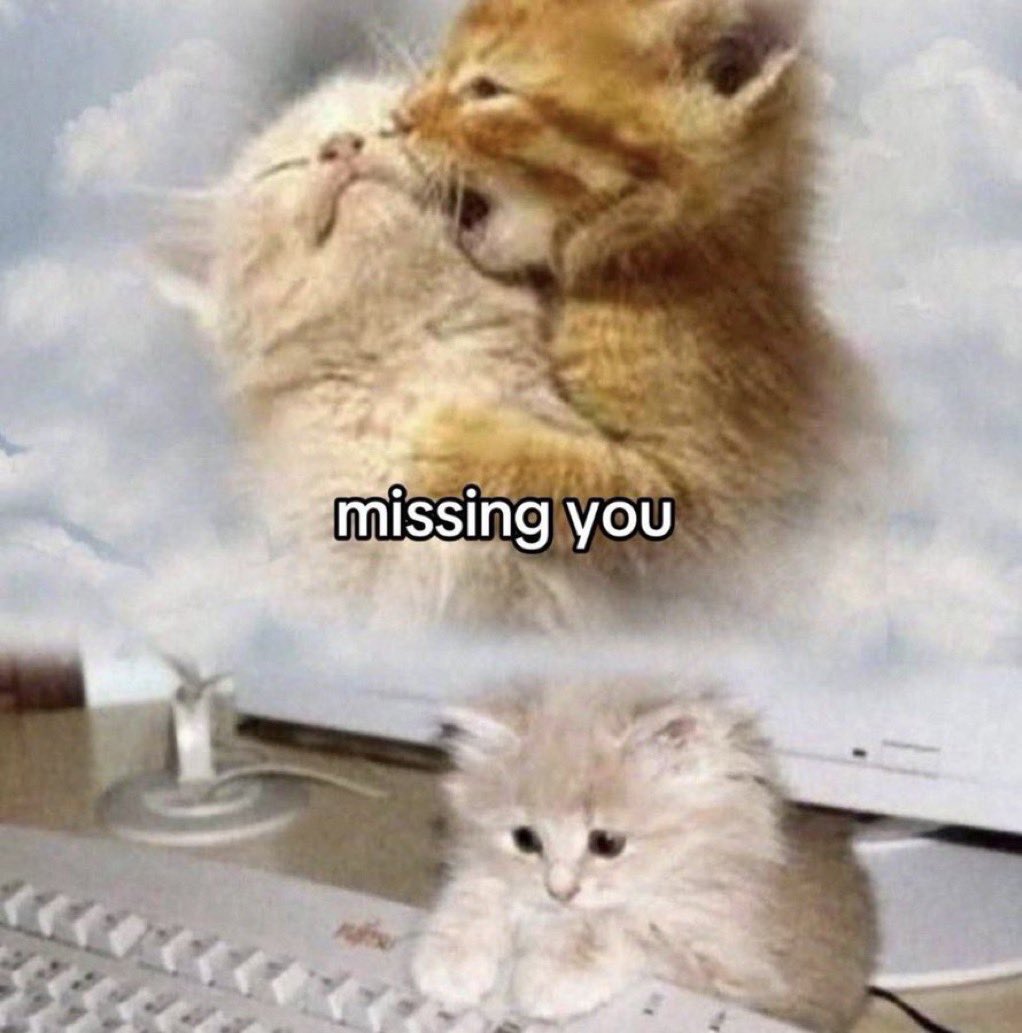 Me & Who? tweet media