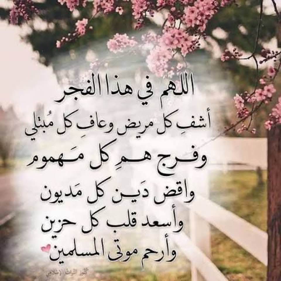 🇸🇦🇯🇴فاتن-المناصير tweet media