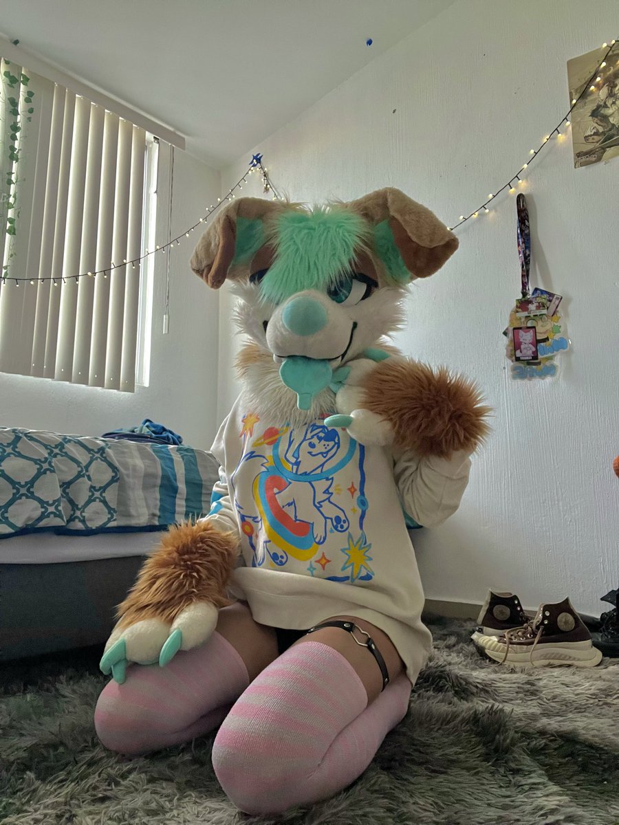 ad_maple🍁 tweet media