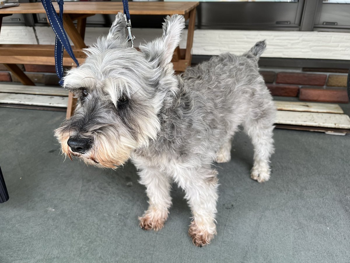 秩父に生きる tweet media