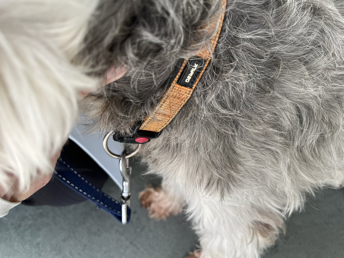 秩父に生きる tweet media