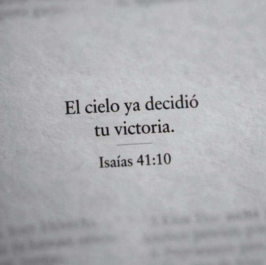 El Salmista tweet media