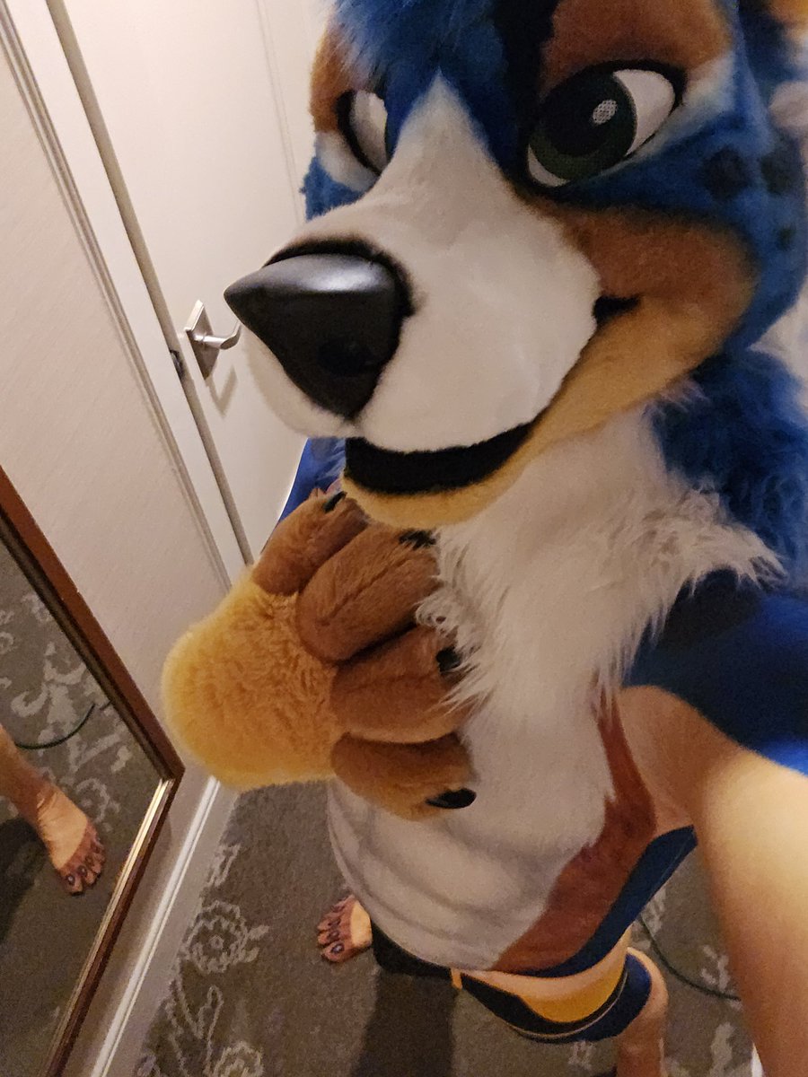 Aussie Bulge tweet media