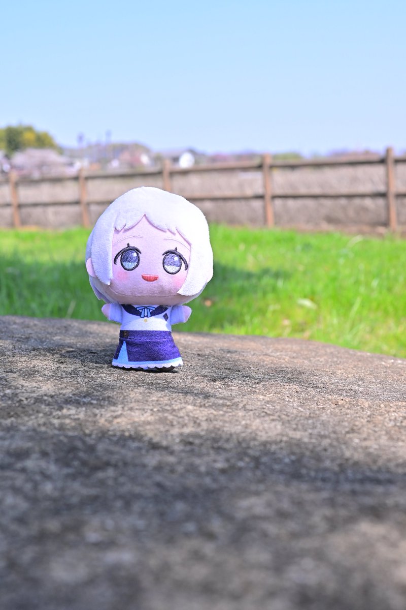 大葉しそ(ぬい活) tweet media