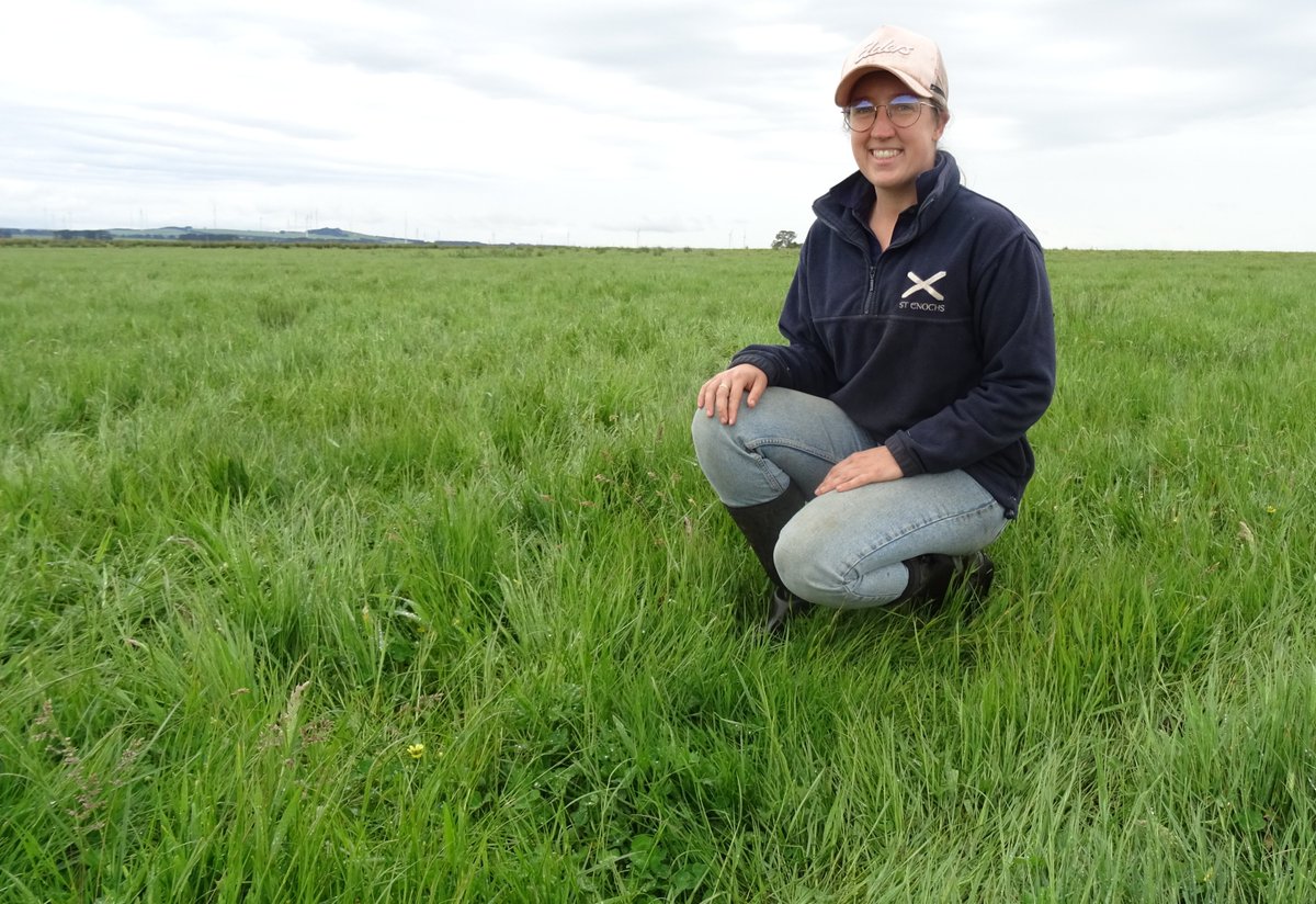 SouthernFS's tweet image. Stony country doesn’t have to mean low productivity.
With soil testing, lime &amp;amp; phosphorus, one Vic family is lifting pasture growth and targeting 12 DSE/ha on rocky terrain.
📄 Read the case study: sfs.org.au/resource/innov…
@meatlivestock #soils #pasturemanagement #lime
