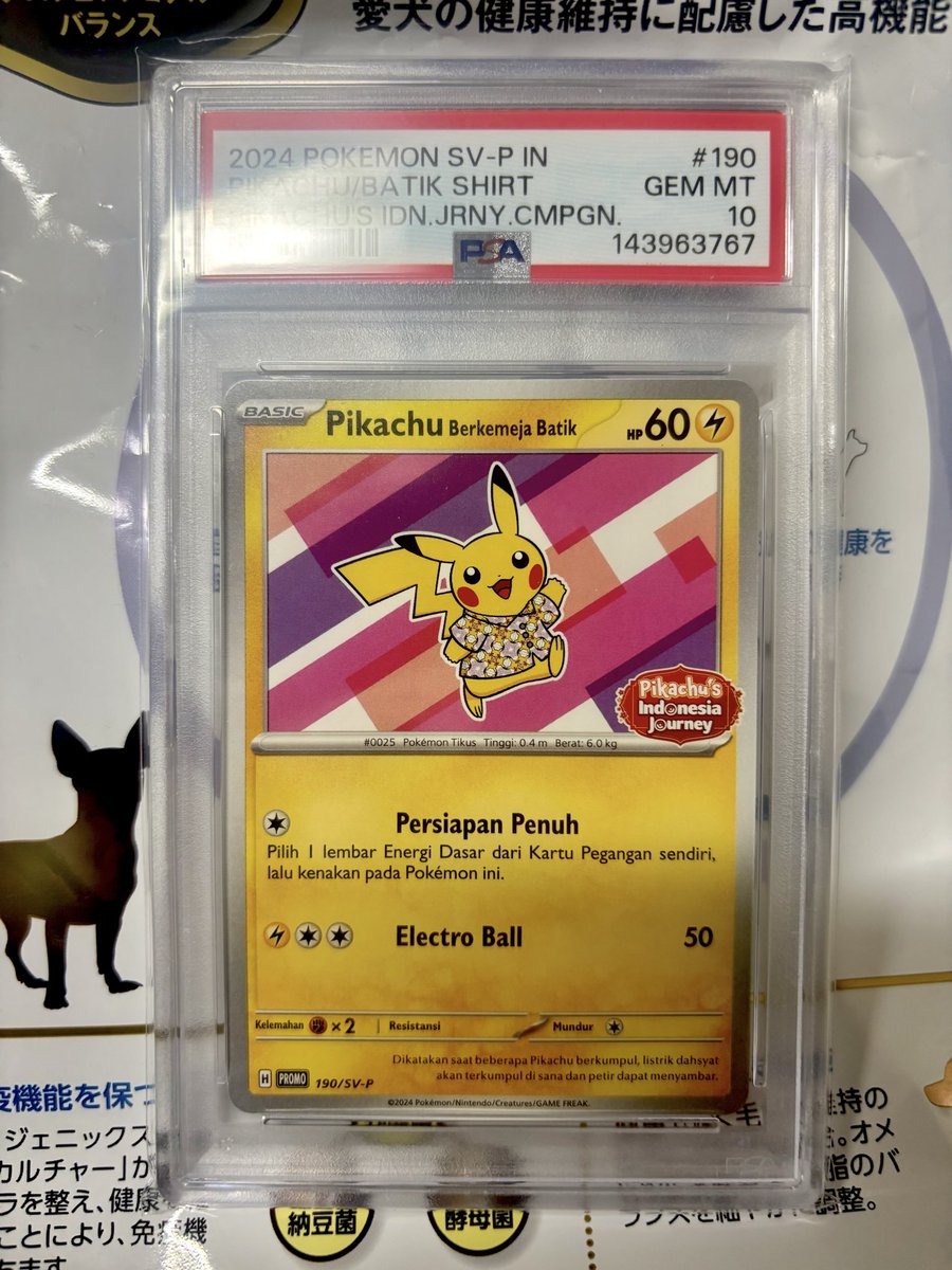 ドーン🐾 tweet media