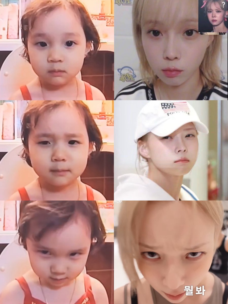 草 🍊 tweet media