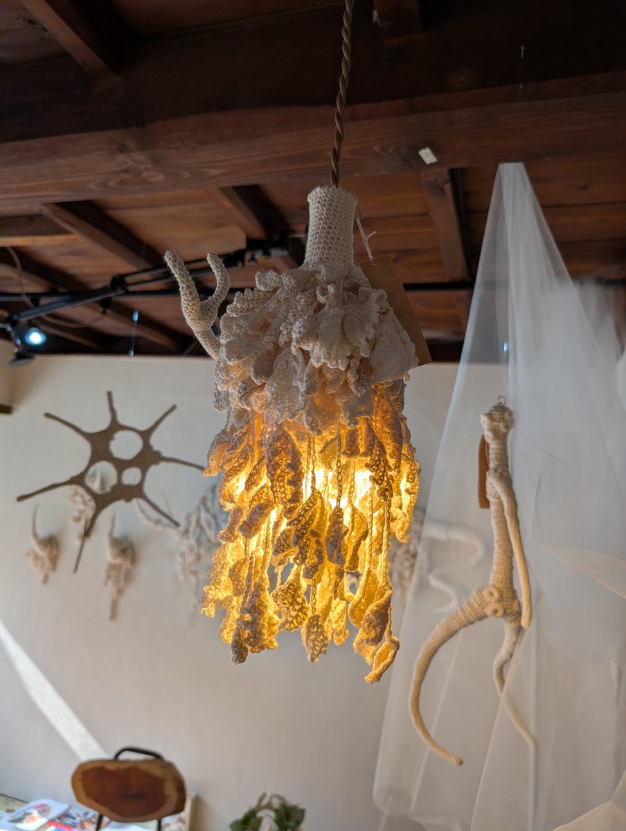 山口三輪 Miwa Yamaguchi tweet media