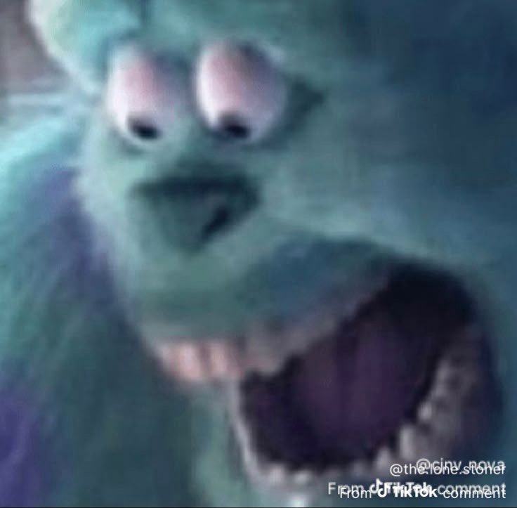 Andrew Weiss tweet media
