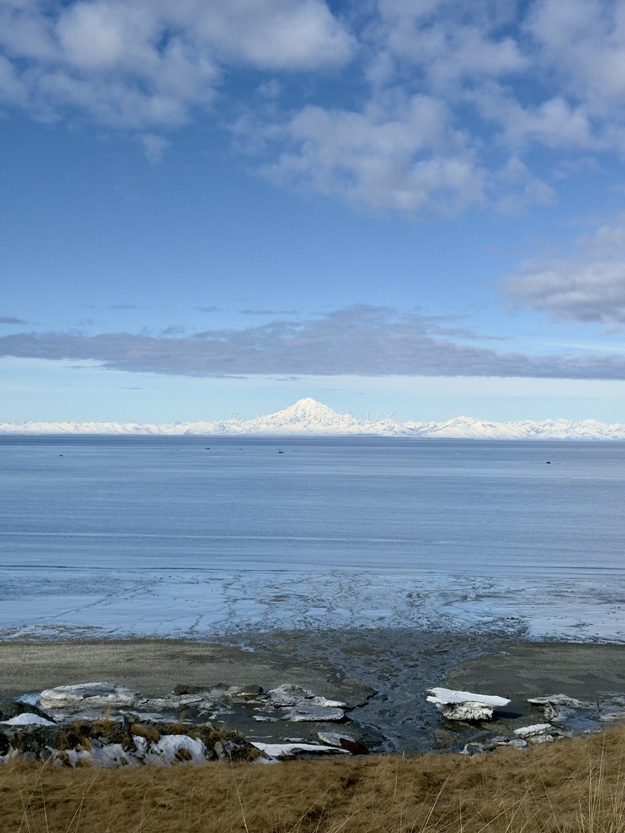 MooreDigitalAK's tweet photo. Mount Redoubt standing tall across Cook Inlet on a bluebird Alaskan day. Nothing beats this view from the Kenai Peninsula — snow-covered peaks, calm waters, and that crisp spring air. This is why we never get tired of photographing Alaska.

#AlaskaPhotography #MountRedoubt #MooreDigitalAK