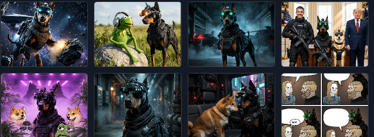MyDogeVN's tweet photo. " Dobermann " We don't create trends, we just create what people need (loyalty, courage, and intelligence).

Your future is in your own hands; no one else can decide it for you. (This is not advice.) https://t.co/rBW69g97qt