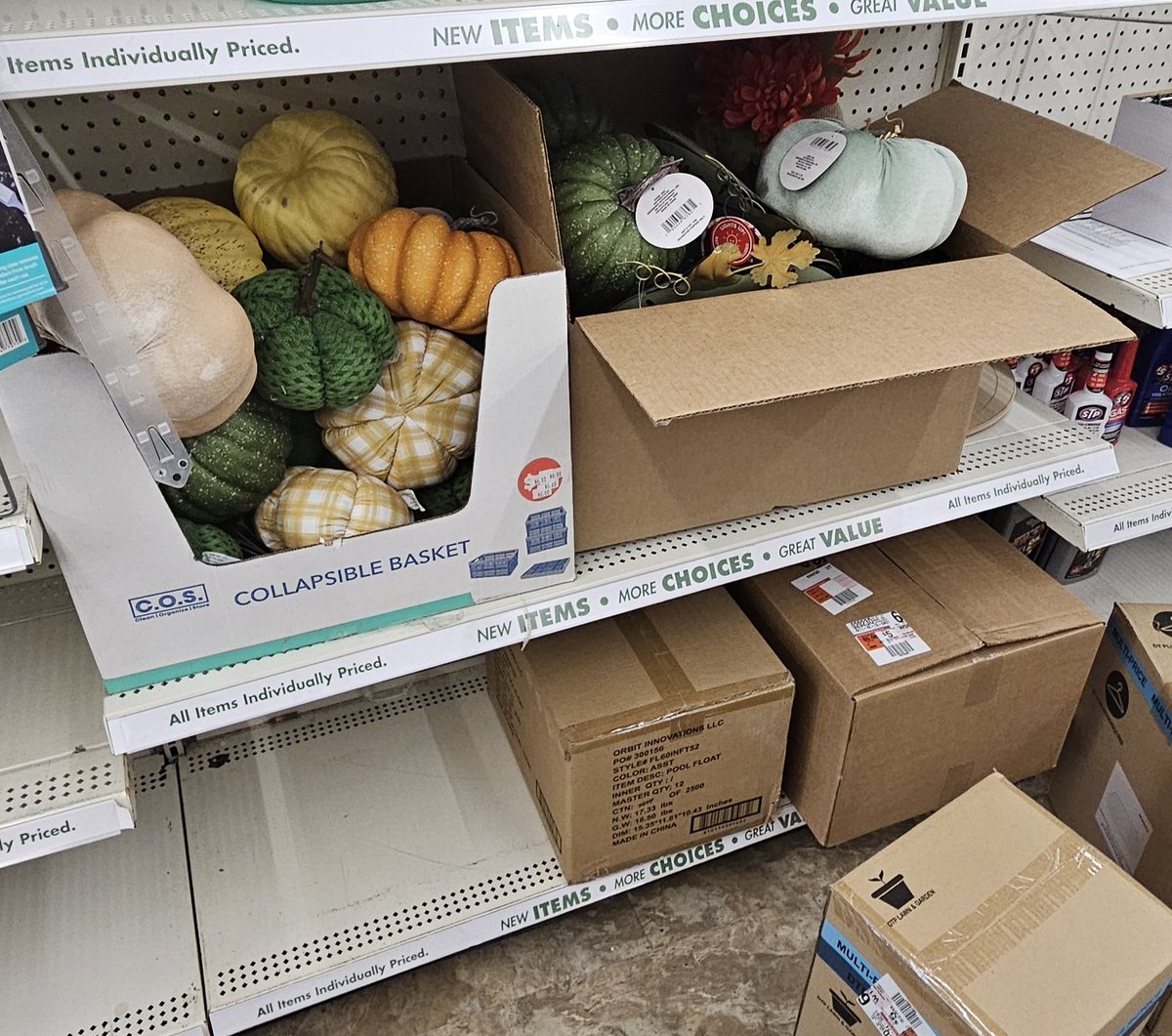 stephenlb2's tweet image. .@DollarTree Pumpkins in APRIL? Why??
#dollartree #pumpkins #April #springtime