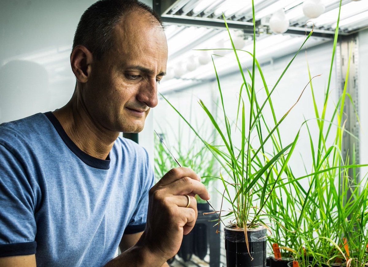 Madame Simone 🇵🇸🪬☭ tweet media