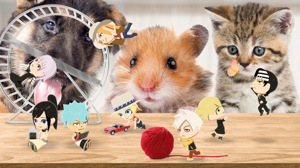 AYNM0330 tweet media