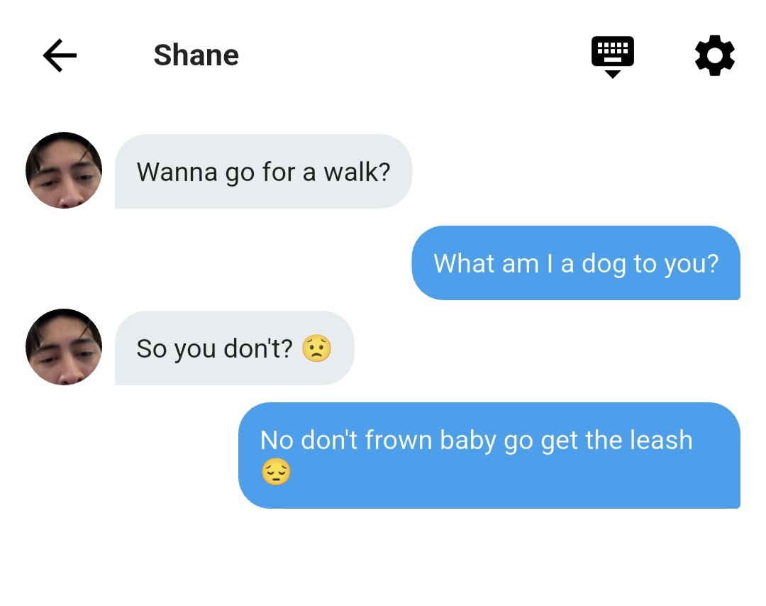 hollanov texting pt.6 #shanehollanderwalksilyalikeadog