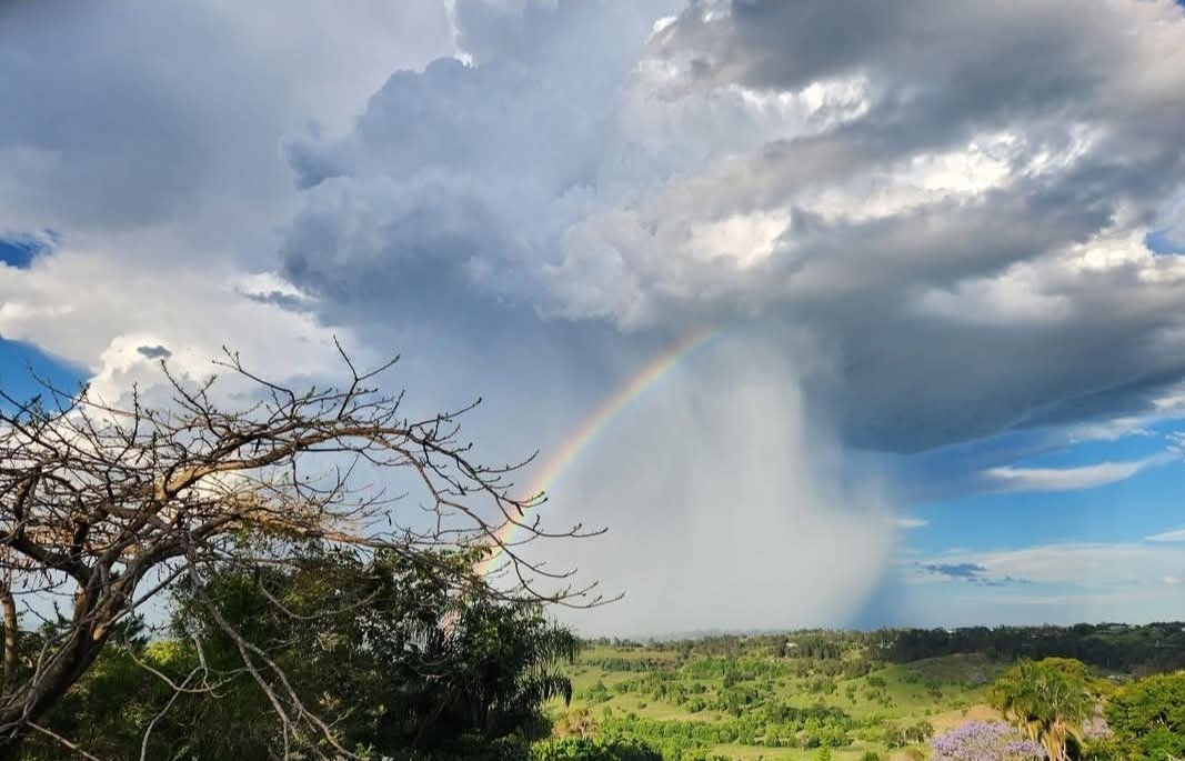 DjangoWierusze1's tweet image. Thankyou Elon Musk for this great platform for people of the world to share their content on. #Elon_Musk