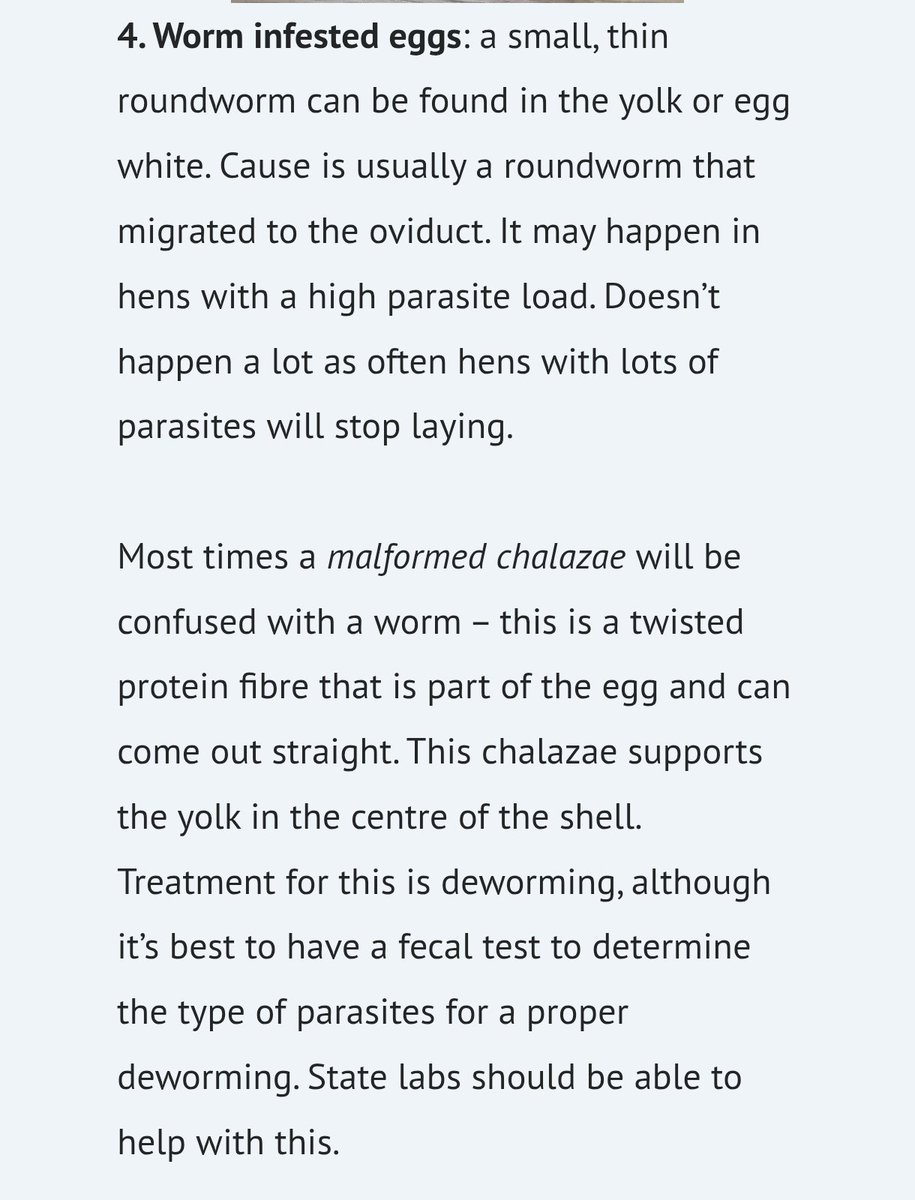 XTⱯN • MⱯYHEM tweet media