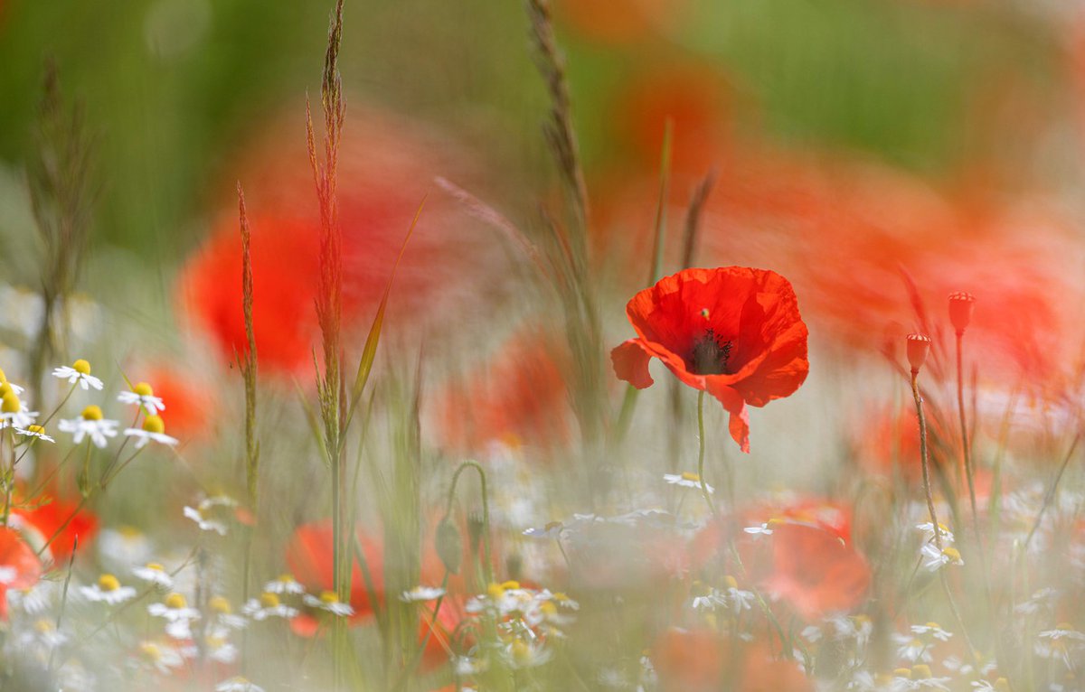 Jana Eid tweet media