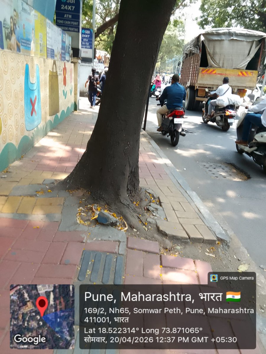 🚨 महाराष्ट्र में 29.75 लाख से अधिक वृक्ष खतरे में!
पेड़ों के चारों ओर कंक्रीट डालना और कील ठोकना = क्रूरता + National Green Tribunal व कानून का उल्लंघन!

🌳 अब और नहीं!
#SaveTreesFromConcrete <a href="/SurajyaAbhiyan/">Surajya Abhiyan</a> 

<a href="/PKRanaG2/">PKSRanaG राष्ट्रवादी</a> <a href="/wetwokrishna/">Reeta Panwar</a> <a href="/jitenishad/">जितेन्द्र निषाद</a> <a href="/doctorrichabjp/">Dr. Richa Rajpoot (Lodhi)</a>