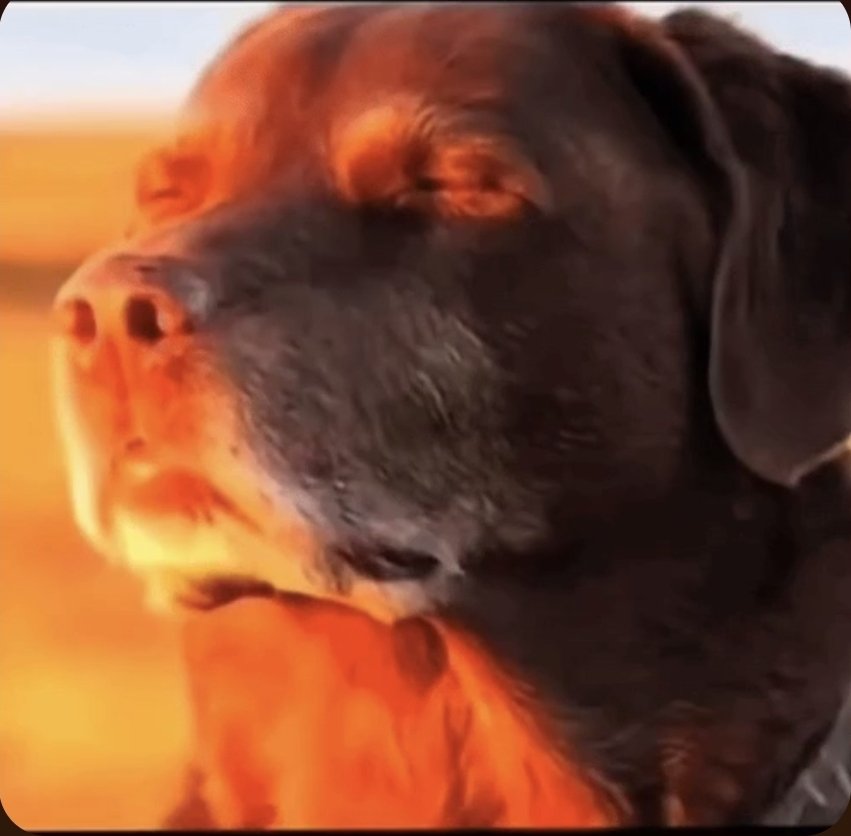 GRAPPLING HOOK tweet media