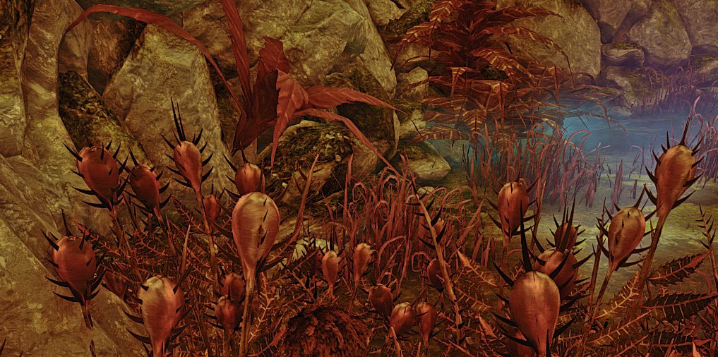 ごーでぃ‎🧶 tweet media