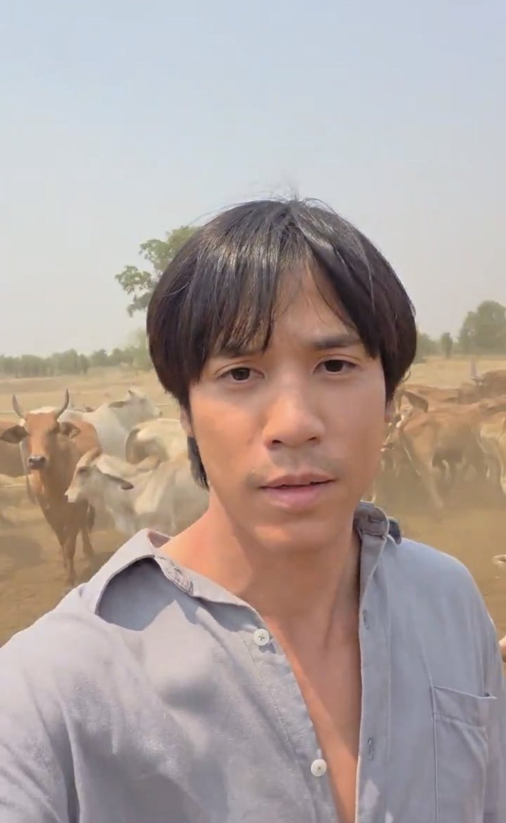 ⋆⑅ 𝘔𝘢𝘮𝘢 𝘱𝘦𝘢𝘳𝘭∘ꕤ tweet media