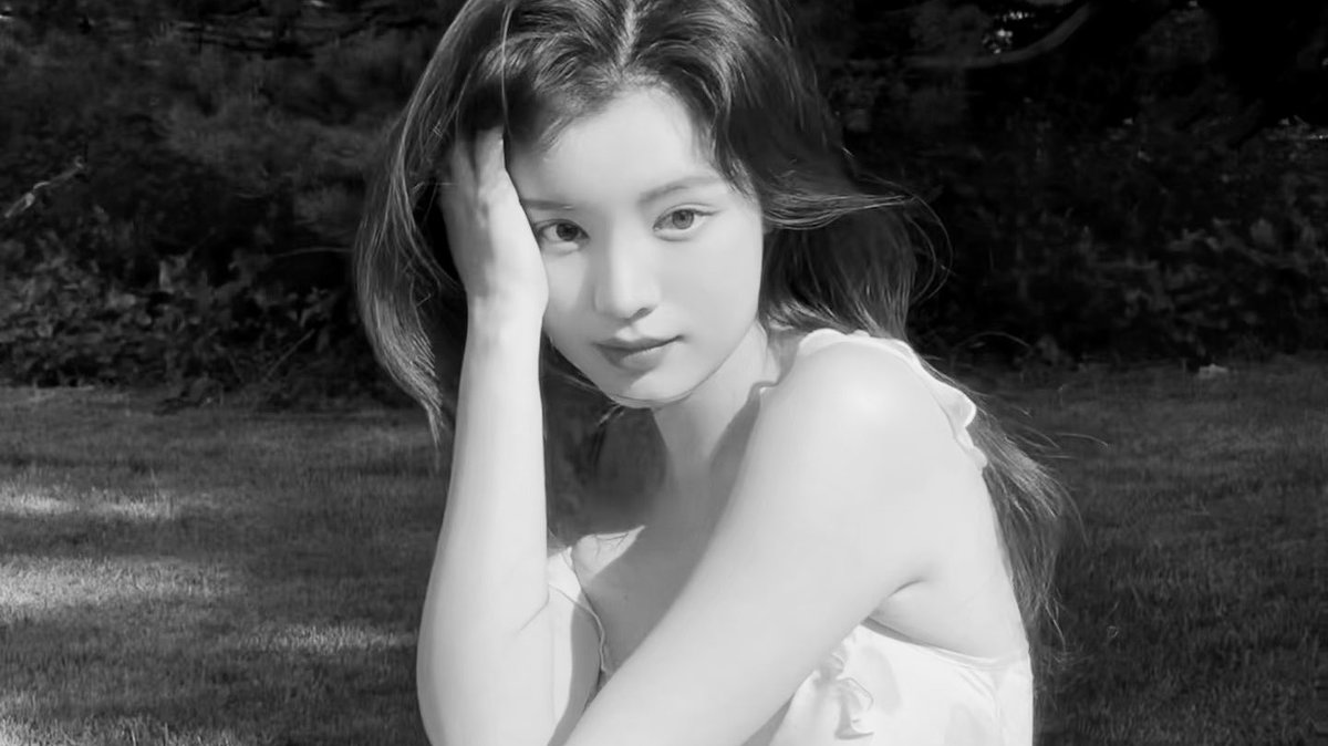 Saralaia. tweet media