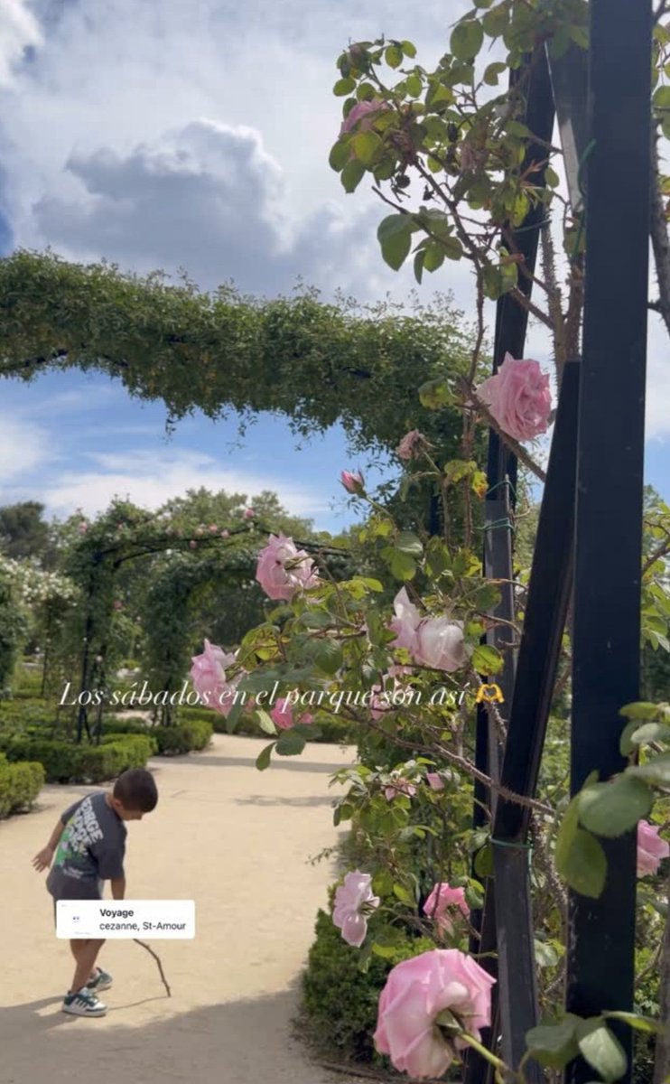 Carrie de Guishón tweet media