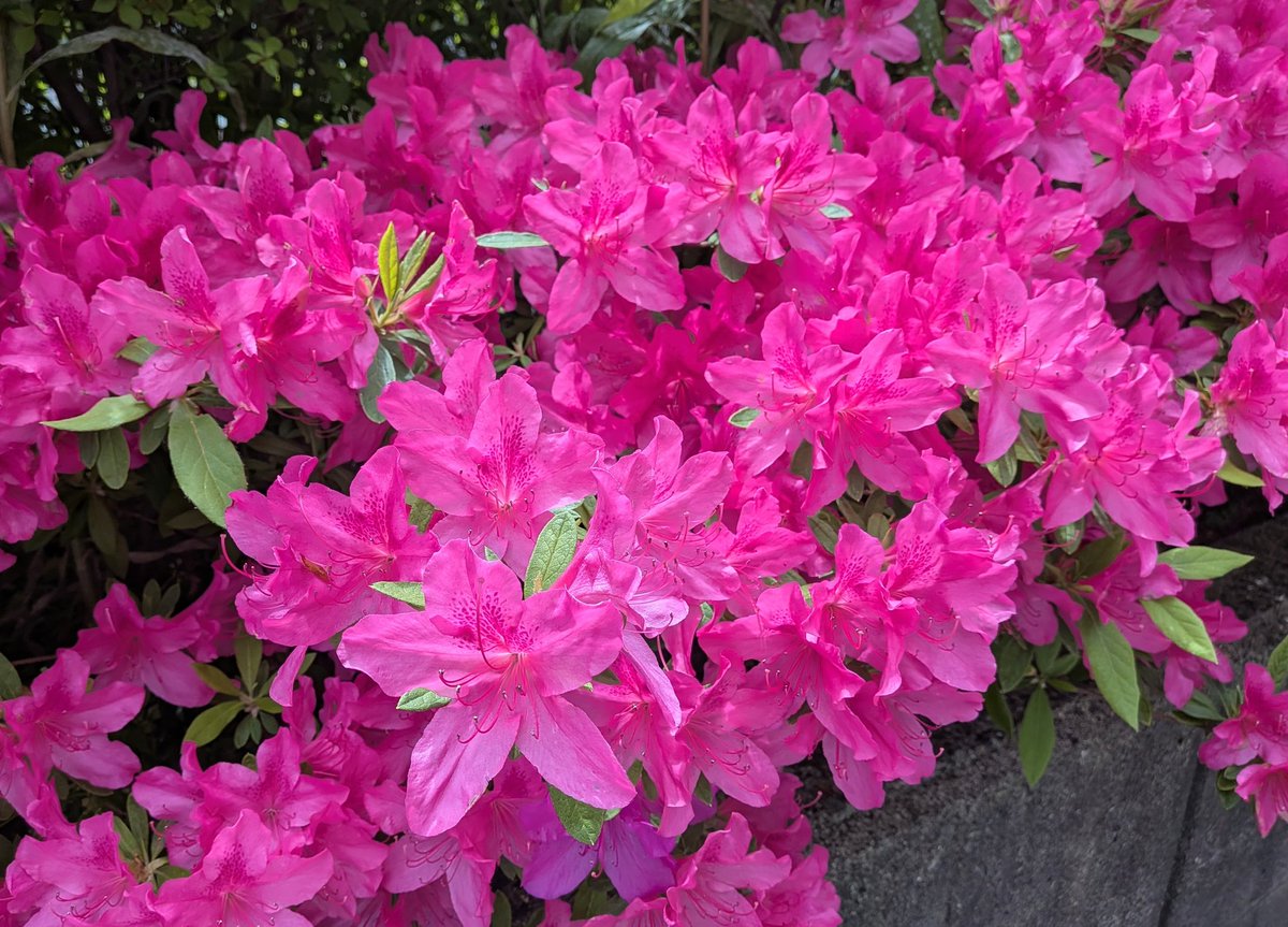 山田栄子 tweet media