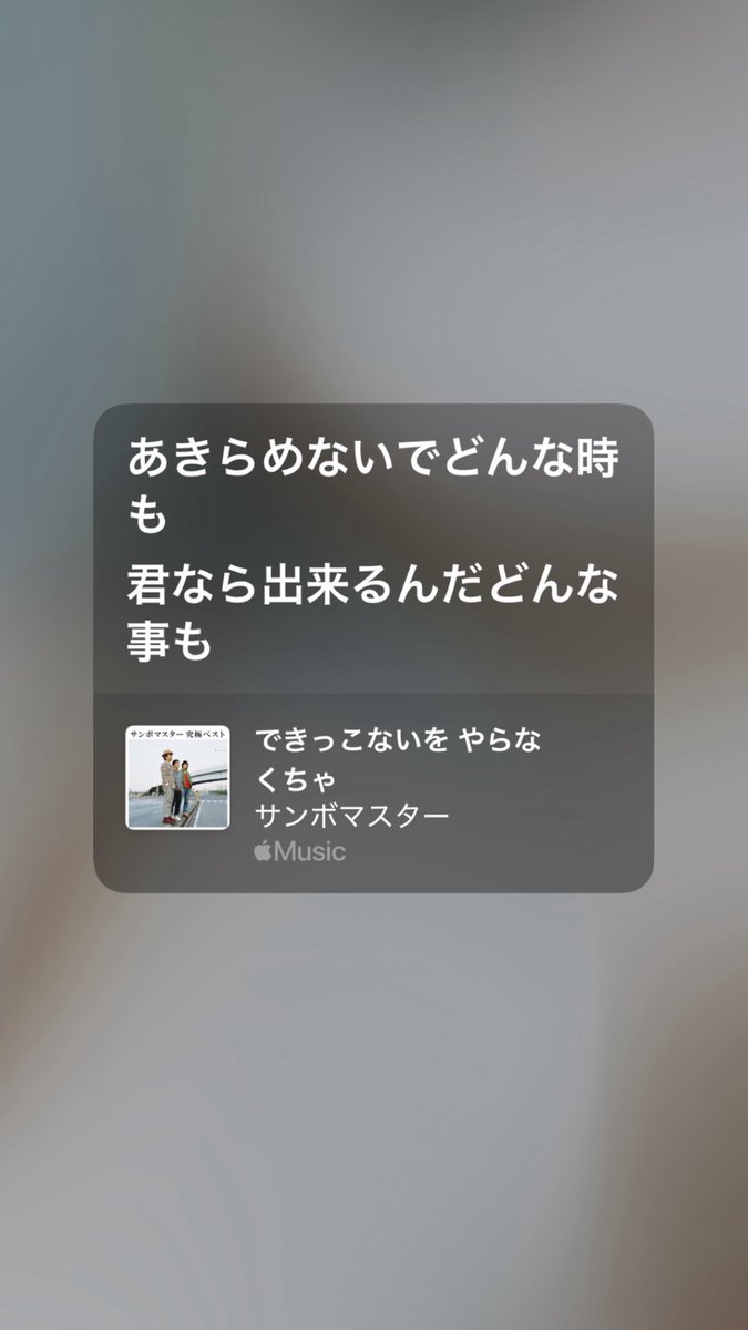 咲良 ꒰ Conton Club ꒱ tweet media