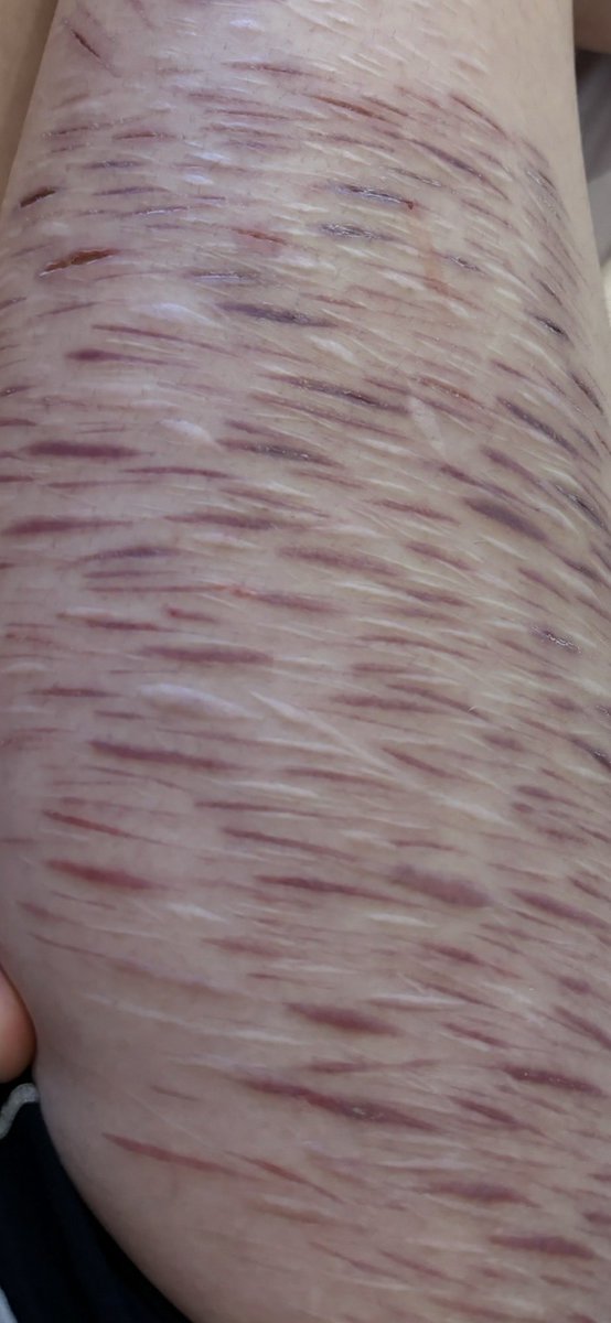 . ⟢ mao ˘ tweet media