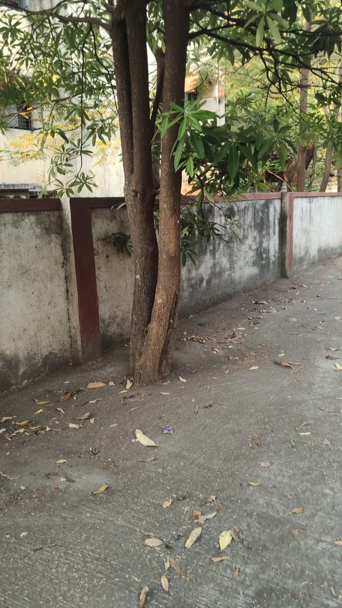 On this #WorldEarthDay today let us all join in SurajyaAbhiyan campaign to #SaveTreesFromConcrete 

Trees are the lungs of our Mother Earth.
Instead of taking care we are choking them with concrete.

Awarness campaign among  citizens is a need of the hour.