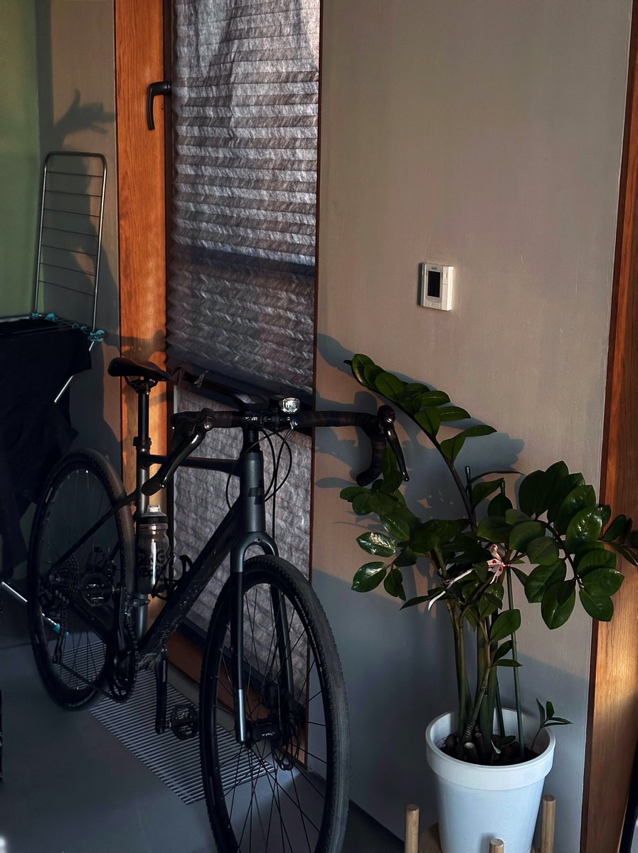 Valentina Verber tweet media