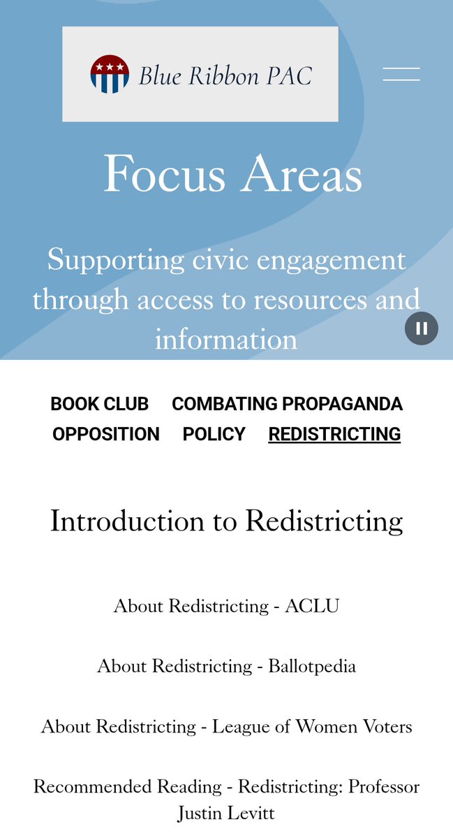 BlueRibbonPAC tweet media