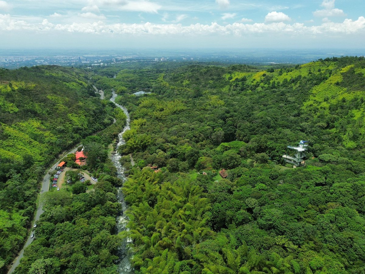 Fun_Univerde's tweet photo. El 22 de abril de 2009, la ONU creó el Día Mundial de la Tierra para buscar  interacción entre nosotros  y la naturaleza para salvar  ecosistemas vitales. Hoy, imágenes del Parque de la Salud en Cali, Colombia.  🇨🇴@GobValle @CvcAmbiental @AlcaldiaDeCali #diamundialdelatierra https://t.co/LqwNw3aDH7
