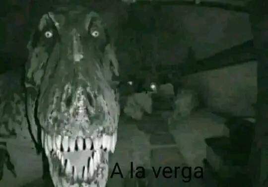 Bof Jones tweet media