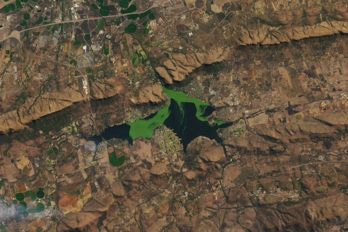 NASA Science tweet media