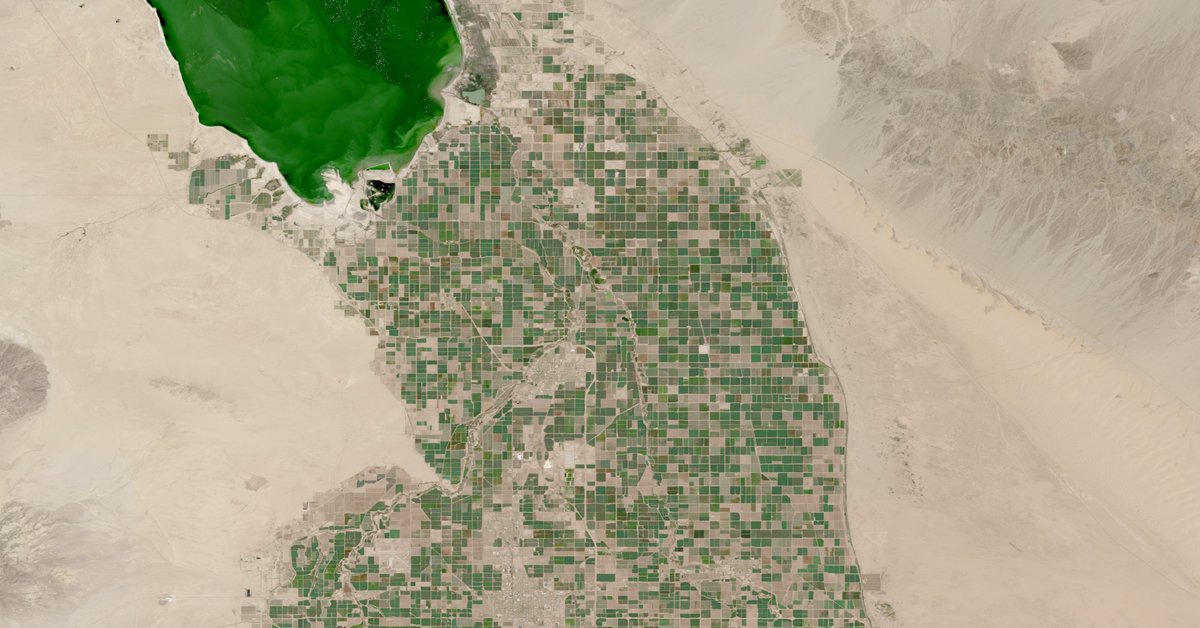 NASA Science tweet media