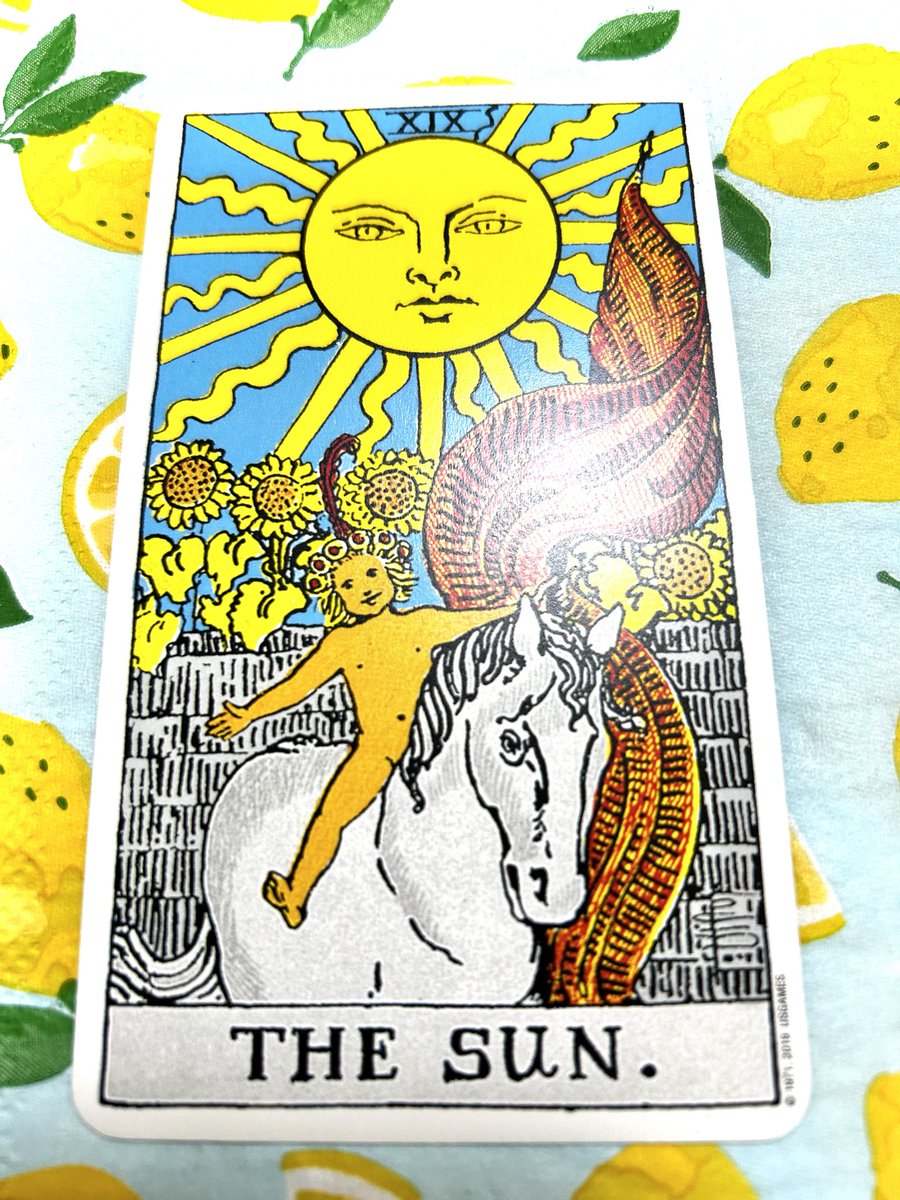 成田遊兎 tweet media